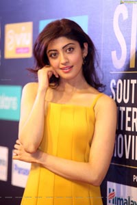 Pranitha Subhash at SIIMA 7th Edition Curtain Raiser