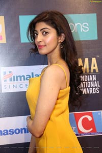 Pranitha Subhash at SIIMA 7th Edition Curtain Raiser