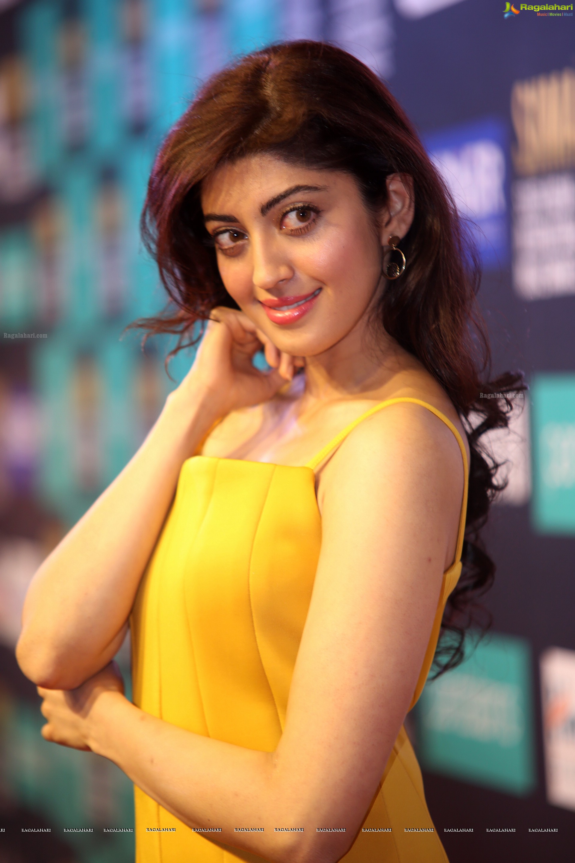 Pranitha Subhash at SIIMA 7th Edition Curtain Raiser and Short Film Awards (High Definition Photos)