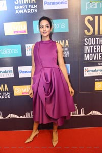 Shanvi Srivastava at SIIMA 7th Edition Curtain Raiser