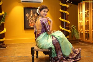 Yamini Bhaskar in Saree