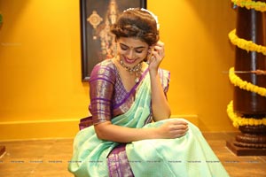 Yamini Bhaskar in Saree