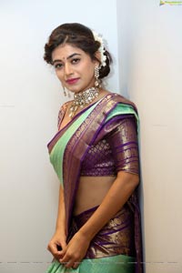 Yamini Bhaskar in Saree