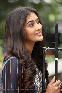 Pooja Jhaveri Kannada Heroine