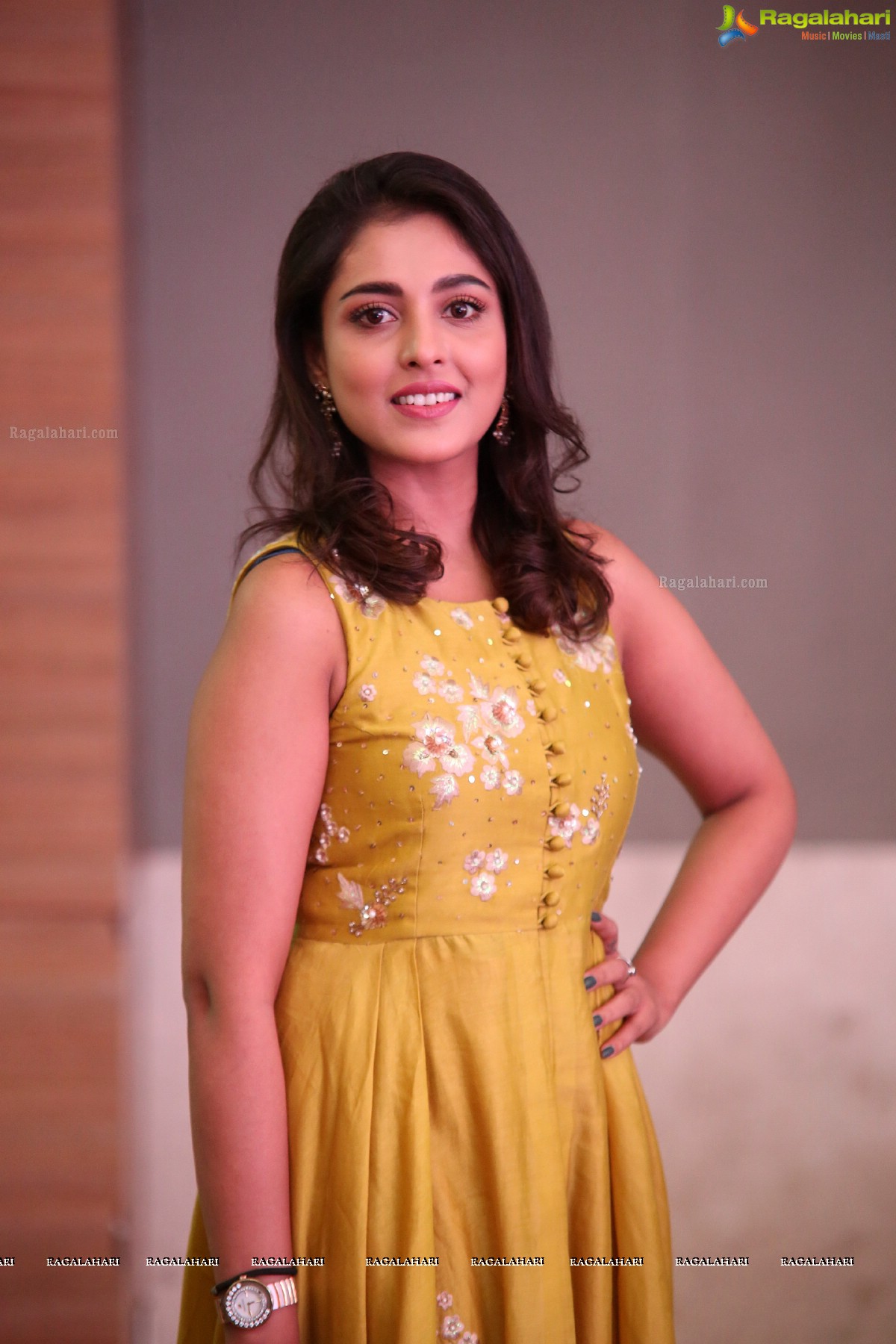 Madhu shalini at Goodachari Pre Release Function (Posters)