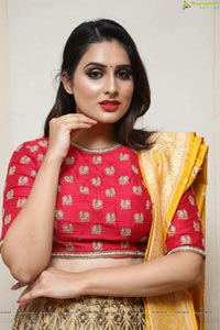 Heroine Nikitha Chaturvedi