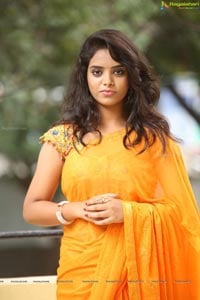 Manjari Telugu Heroine