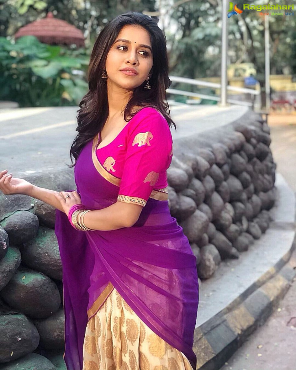 Nabha Natesh