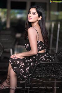 Nabha Natesh