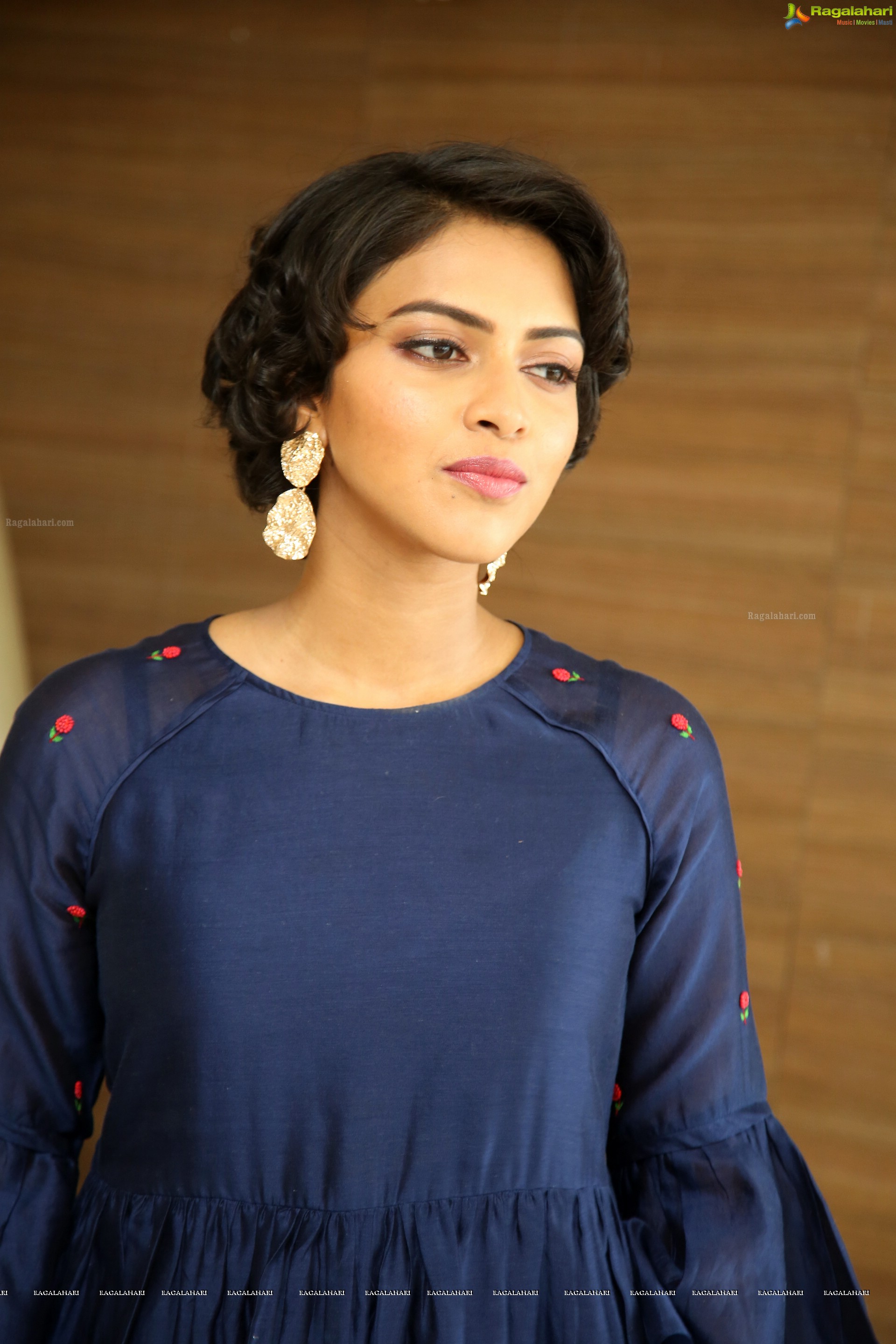 Amala Paul at Rakshasudu Movie Success Meet - HD Gallery