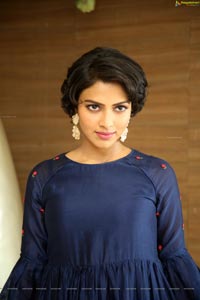 Amala Paul at Rakshasudu Movie Success Meet