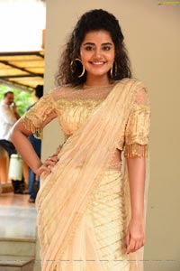 Anupama Parameswaran at Rakshasudu Press Meet