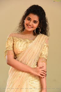 Anupama Parameswaran at Rakshasudu Press Meet