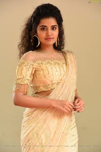 Anupama Parameswaran at Rakshasudu Press Meet