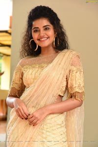 Anupama Parameswaran at Rakshasudu Press Meet