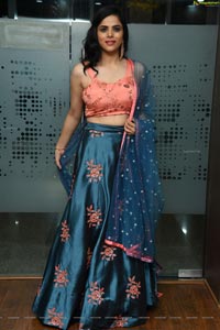 Kriti Garg at 2 Hours Love Pre Release Event