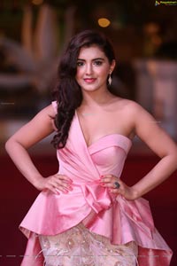 Malavika Sharma Photoshoot