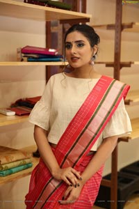 Nikitha Chaturvedi Wearing Handloom Dress