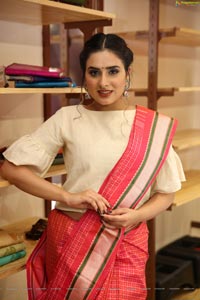 Nikitha Chaturvedi Wearing Handloom Dress