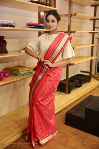 Nikitha Chaturvedi Wearing Handloom Dress