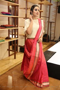 Nikitha Chaturvedi Wearing Handloom Dress