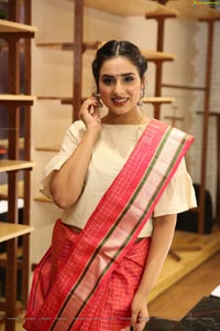 Nikitha Chaturvedi Wearing Handloom Dress