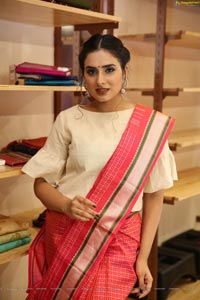 Nikitha Chaturvedi Wearing Handloom Dress