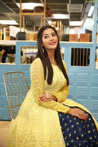 Pooja Jhaveri at Dadu's Launch