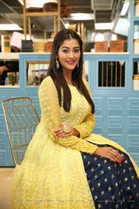 Pooja Jhaveri at Dadu's Launch