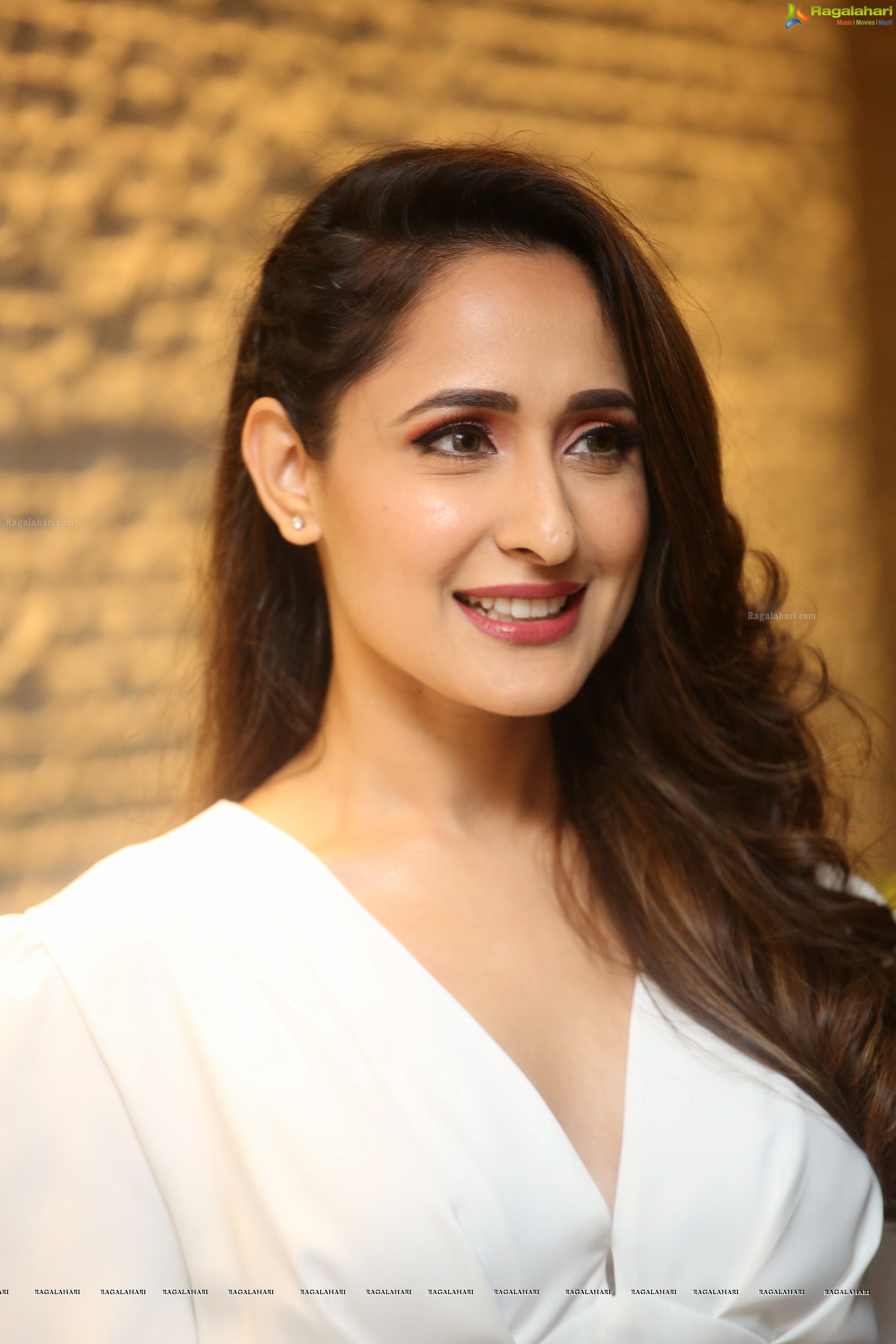 Pragya Jaiswal @ Telugu Cine Rathasarathula Rajotsvam Curtain Raiser - HD Gallery