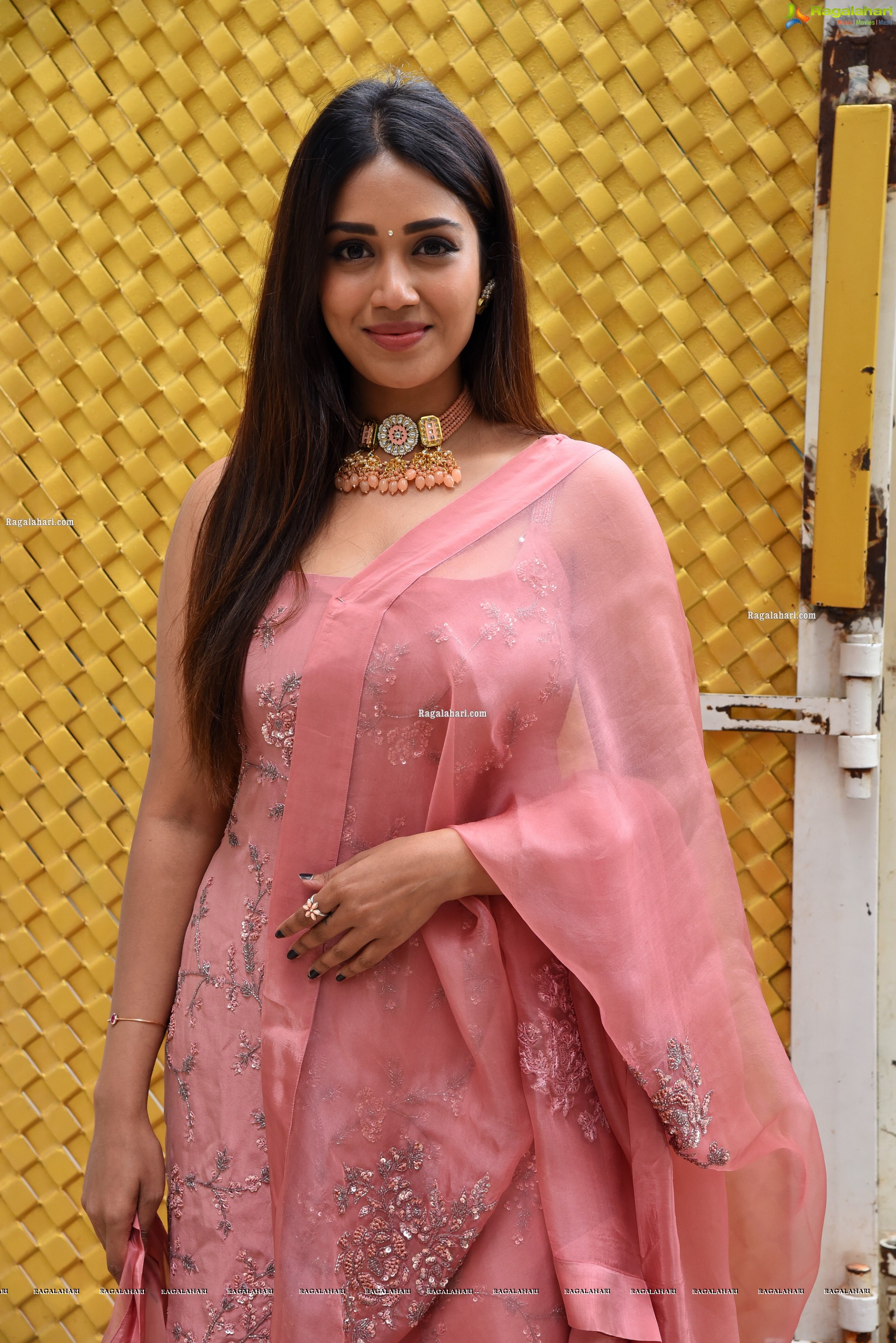 Nivetha Pethuraj at Paagal Movie Interview, HD Photo Gallery