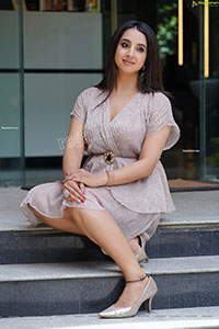 Sanjjanaa Galrani in Light Gray Glitter Dress