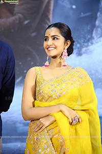 Anupama Parameswaran at Karthikeya 2 Success Event