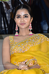 Anupama Parameswaran at Karthikeya 2 Success Event