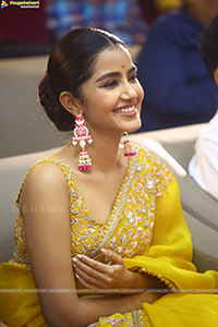 Anupama Parameswaran at Karthikeya 2 Success Event