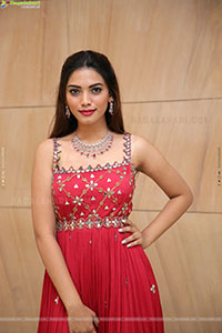 Hyderabadi Model Harshini Balla Photos