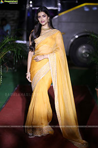 Bhagyashri Borse at Mr. Bachchan Pre Release Event