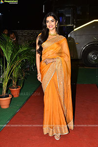 Bhagyashri Borse at Mr. Bachchan Pre Release Event