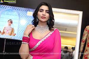 Varsha at Polki Diamond Jewellery Exhibition, HD Gallery