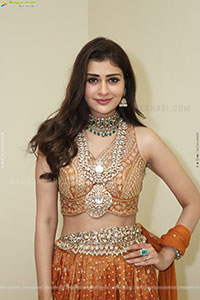 Payal Rajput Latest Beautiful Stills, HD Gallery