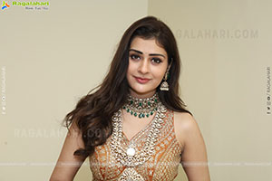 Payal Rajput Latest Beautiful Stills, HD Gallery
