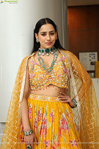 Priyanka Latest Stills in Designer Dress, HD Gallery