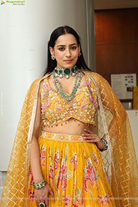 Priyanka Latest Stills in Designer Dress, HD Gallery