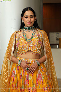 Priyanka Latest Stills in Designer Dress, HD Gallery