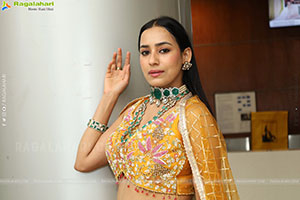 Priyanka Latest Stills in Designer Dress, HD Gallery