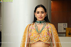 Priyanka Latest Stills in Designer Dress, HD Gallery
