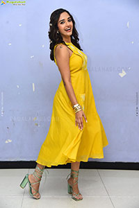 Anyuktha Nallani at Good Time Teaser Launch