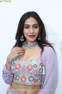 Preethi Singh stills in Lavender Lehenga Choli