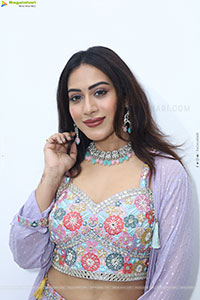 Preethi Singh stills in Lavender Lehenga Choli