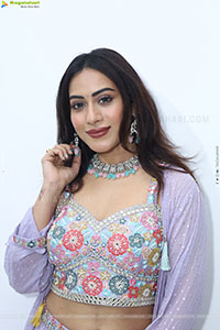 Preethi Singh stills in Lavender Lehenga Choli
